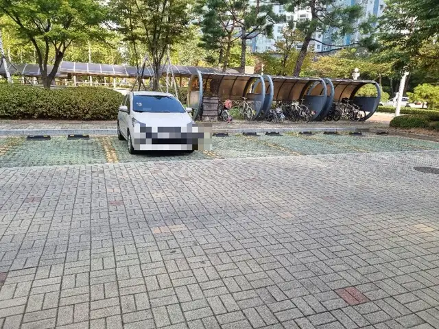 온미래쉬 사진 4