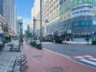 샐리뷰티스 사진