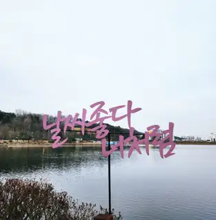 테오트리 사진