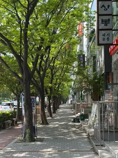 초티크 사진