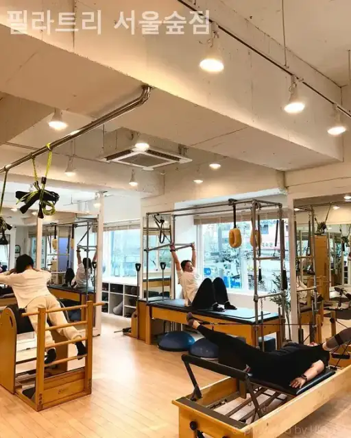 필라트리 사진 6