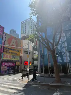 스파로제 사진