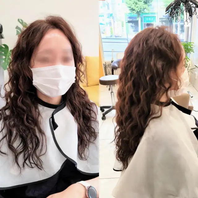 도유보네르 사진 2