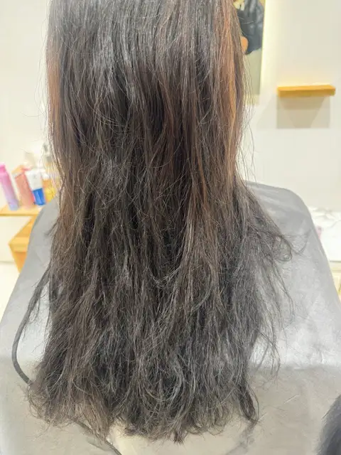 센느 사진 6