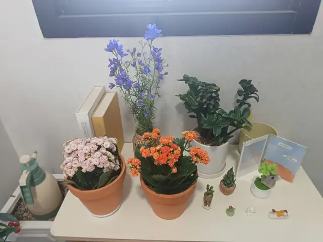 다나아필라테스 사진 6
