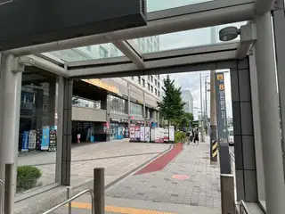 미오 브로우바 사진