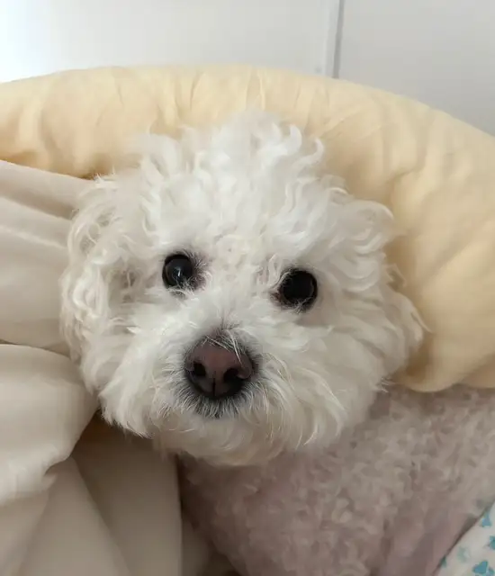 속눈썹언니 사진 5