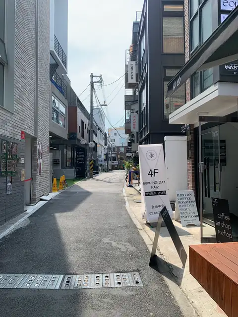 로디네일 사진 8