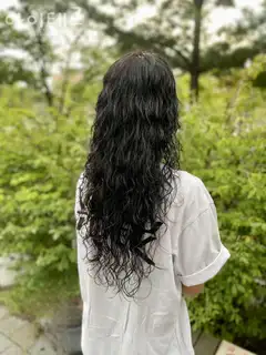 아이테르 사진