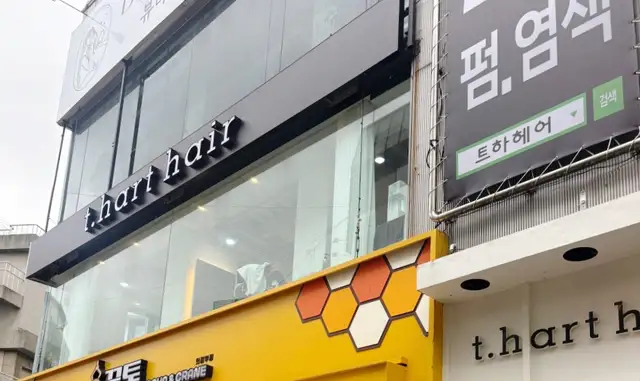 트하헤어 사진 6