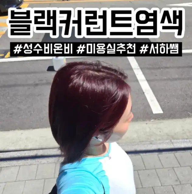 비온비 사진 3
