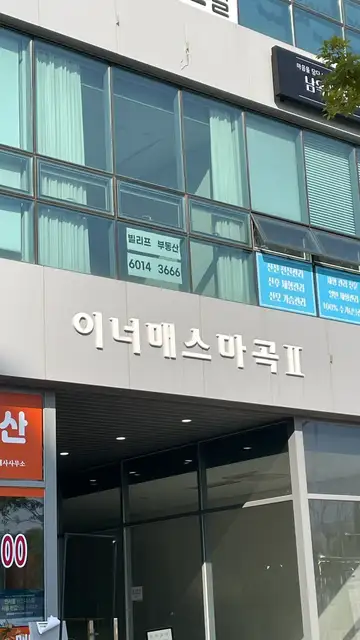 브로우조히 사진 6