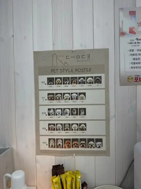 아띠랑스 사진 3