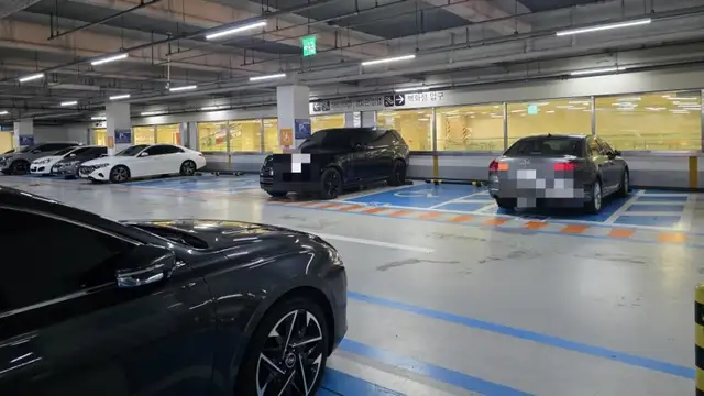 펠리아럭스 부산본점 사진 4