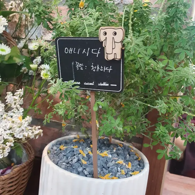 댕기와상투 사진 3