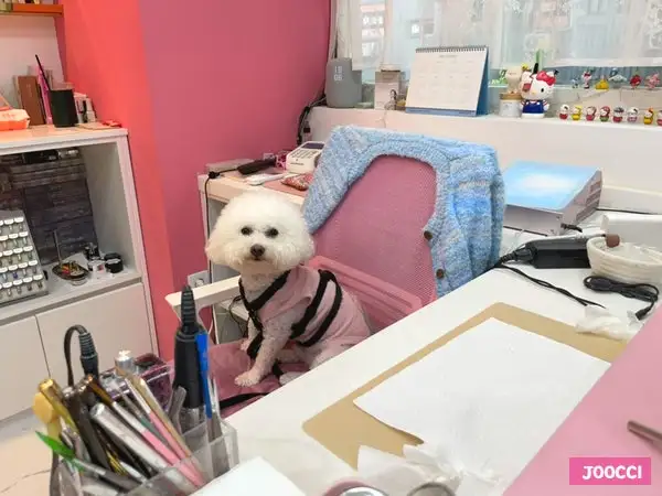 상지네일살롱 사진 6