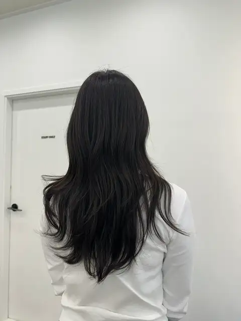 아르더헤어 사진 5