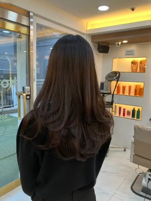 호헤어 사진 6