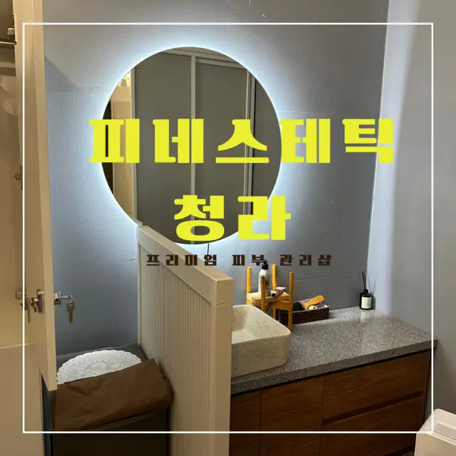 피네스테틱 사진 3