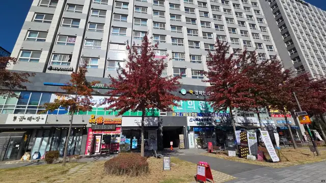 속눈썹 외길인생 사진 7