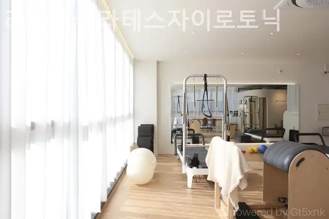 리비브필라테스자이로토닉 사진 3
