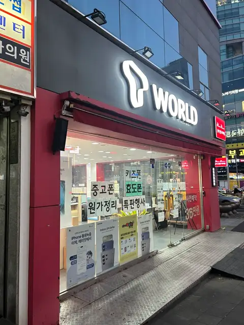 제이엘속눈썹 사진 3