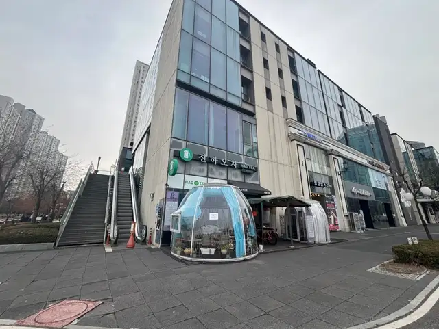 메디푸스 사진 5
