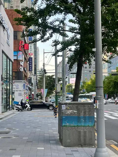 뷰왁싱 사진 6