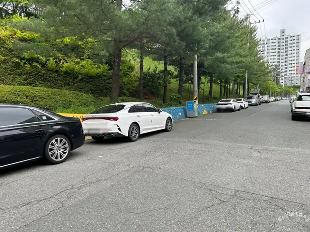 리본스킨 사진 6
