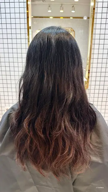 린헤어 사진 4