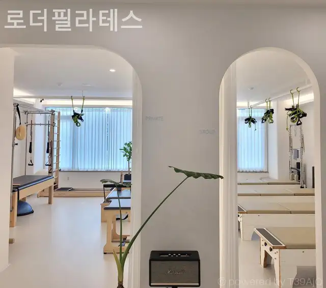 로더필라테스 사진 5