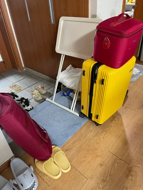 알로하 사진 3