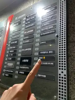 네일양 사진