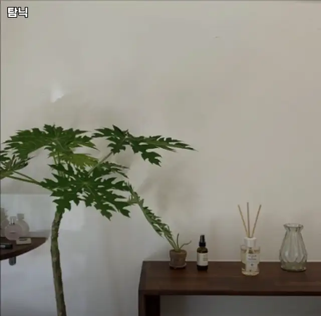 탐닉 사진 3