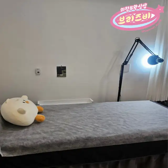 브리즈비 사진 5