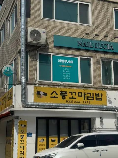 네일루시아 사진 8