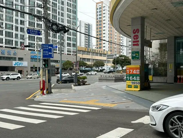 리리브로우 사진 4