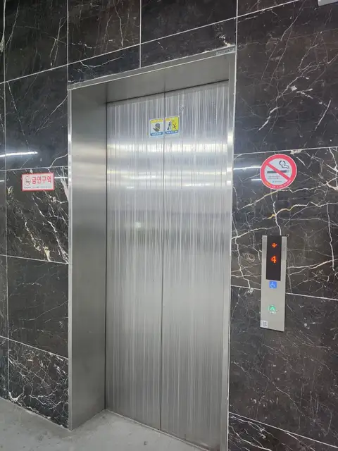 라임헤어 사진 3