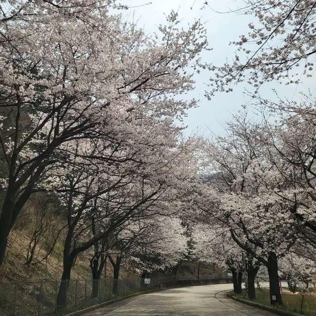 헬스엔젤스필라테스 사진 6