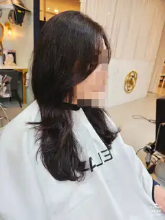 펠리아 사진