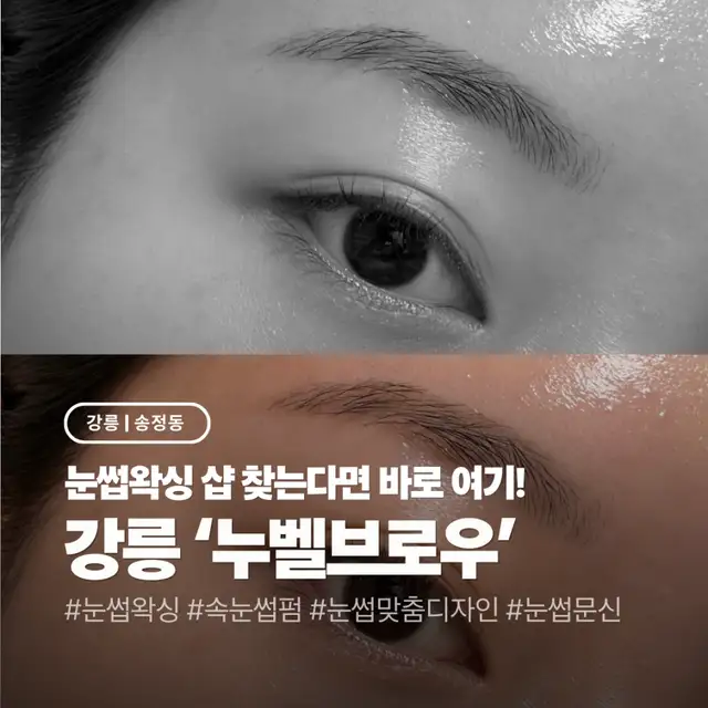 누벨브로우 사진 7