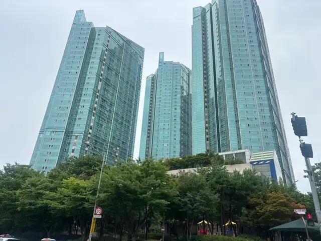 제이올리 네일아트 합정점 사진 5