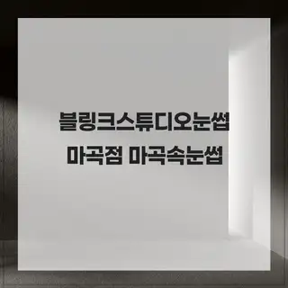 블링크스튜디오눈썹&속눈썹 마곡점 사진
