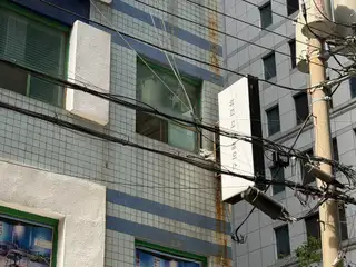 뷰티더그레이스 사진