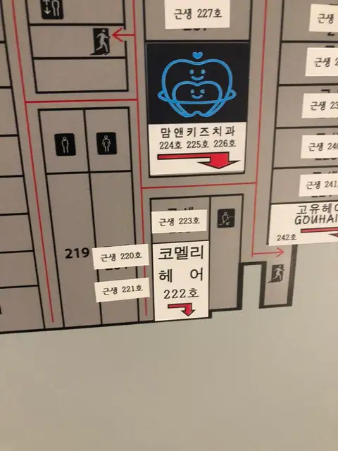 코멜리헤어 사진 2