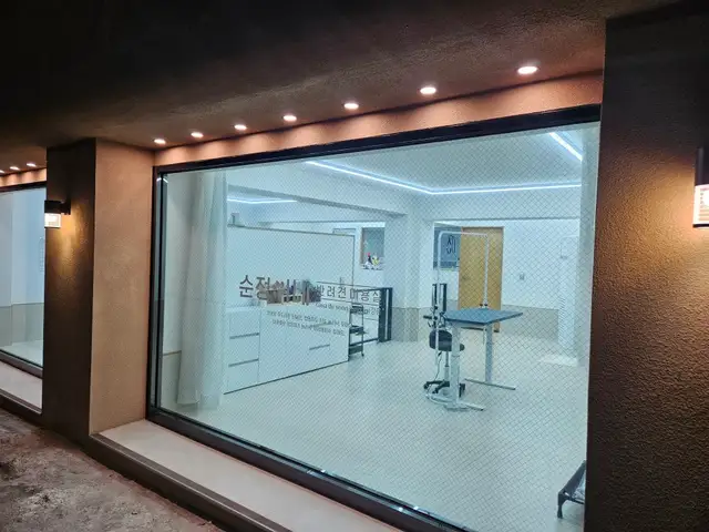 순정이네반려견미용실 사진 3