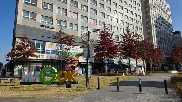 속눈썹 외길인생 사진 8