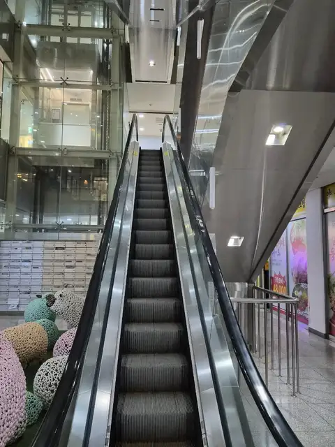 초이스브로우 사진 2