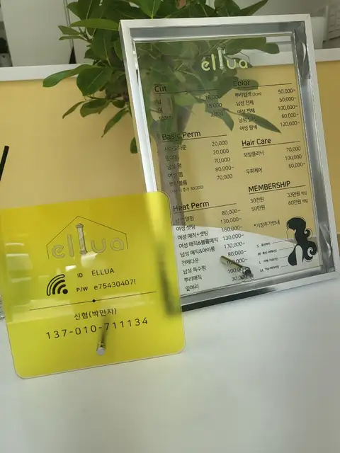 엘루아 사진 6
