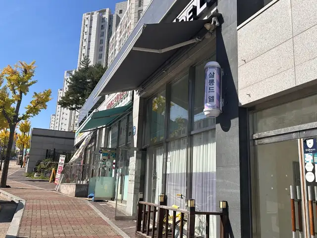 살롱드엘 사진 7